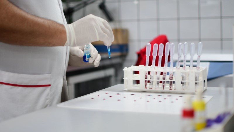 Nuevos casos importados oropouche Canarias