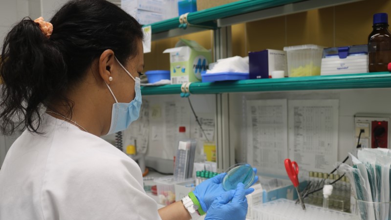 Primer caso importado virus oropouche Canarias