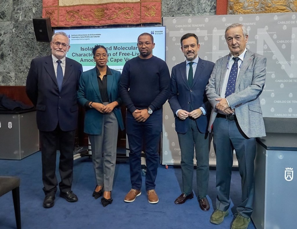 Tesis cooperación África 2024